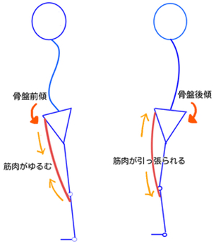 膝蓋腱に生じる小さな傷