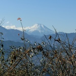 初登山です♪